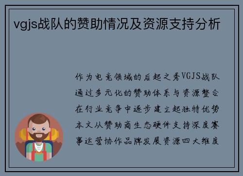 vgjs战队的赞助情况及资源支持分析
